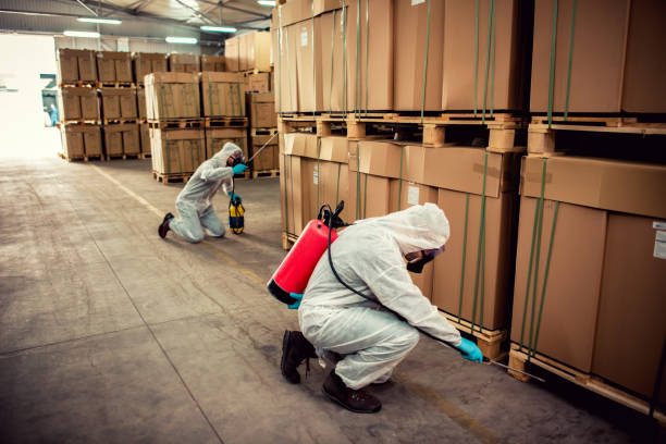 Best Emergency Pest Control  in Upper Brookville, NY