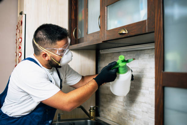 Best Pest Control Near Me  in Upper Brookville, NY
