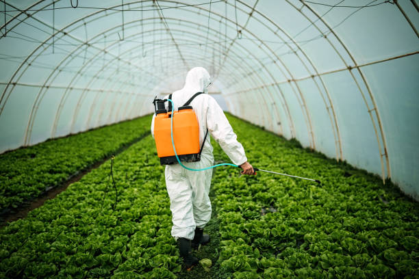 Best Pest Removal Services  in Upper Brookville, NY