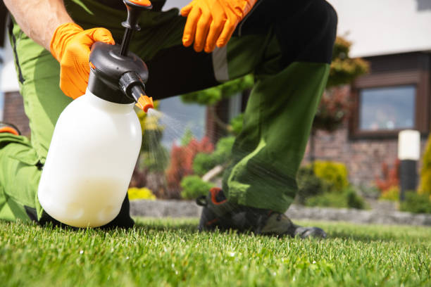 Best Termite Control Services  in Upper Brookville, NY
