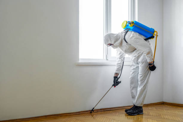 Reliable Upper Brookville, NY Pest Control Solutions