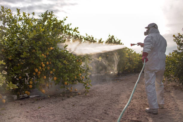 Best Pest Inspection Near Me  in Upper Brookville, NY