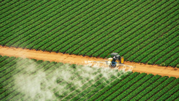 Pest Control Cost in Upper Brookville, NY