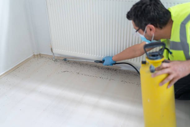 Best Wasp Removal Services  in Upper Brookville, NY