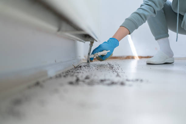 Best Wasp Removal Services  in Upper Brookville, NY